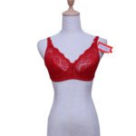 Ladies power net lace insert at middle and sides Bra- Pack of 1